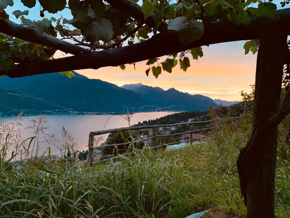 Agriturismo Treterre Pianello Del Lario المظهر الخارجي الصورة